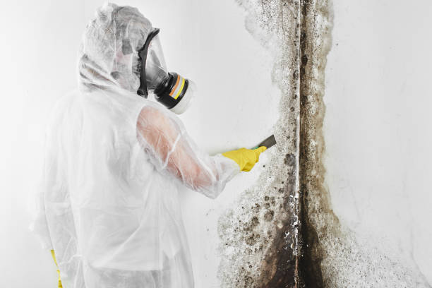 Best Water Damage Restoration  in Mcalester, OK