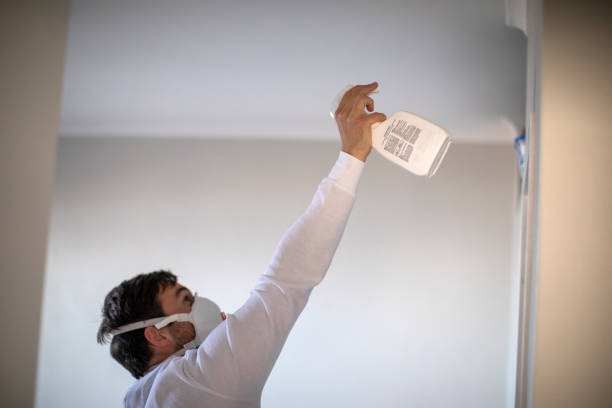 Best Crawl Space Mold Removal  in Mcalester, OK