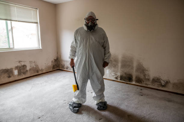 Best Affordable Mold Removal  in Mcalester, OK
